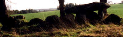 Kerjagu (Photo o.Benquet)