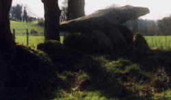 Kerjagu (Photo o.Benquet)